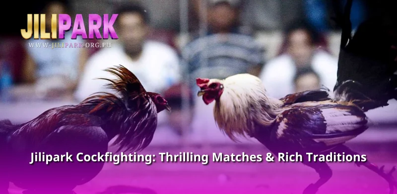 Jilipark Cockfighting